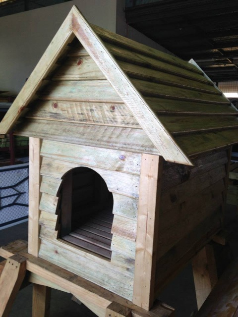 Downs Group Training Butterfly Ball Donation